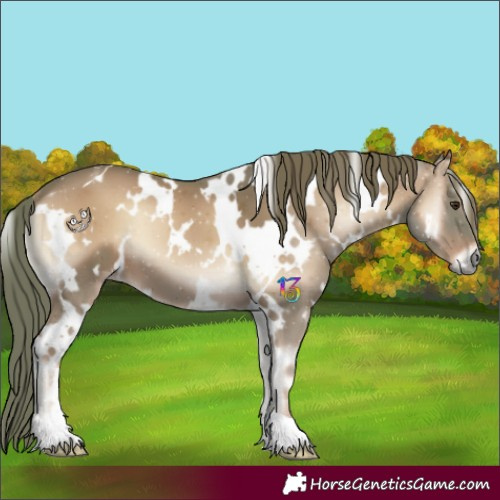 Horse Color:Watercolor White Spotted Red Onyx 