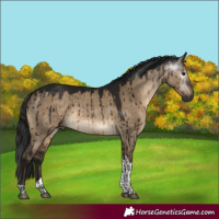 Horse Color:Gray Brown Dun Tobiano Rabicano Brindle