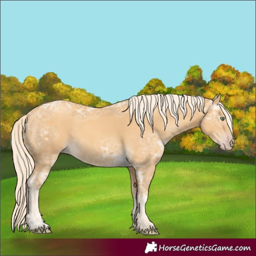 Horse Color:Gold Cream Champagne Ice 
