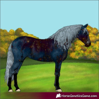 Horse Color:ERROR: UNKNOWN ANOMALY