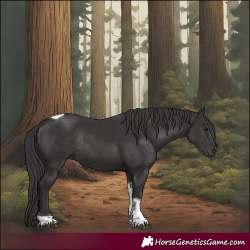 Horse Color:Smoky Black Tobiano Rabicano