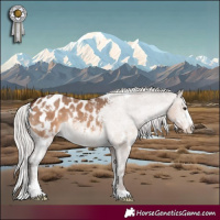 Horse Color:White Spotted Silver Brown Dun Sabino Blanket 