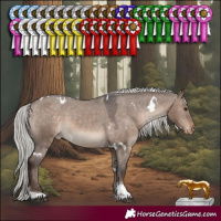 Horse Color:White Spotted Silver Brown Dun Tobiano Appaloosa 