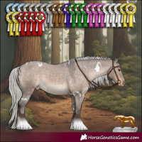 Horse Color:White Spotted Silver Brown Dun Tobiano Appaloosa