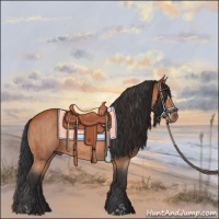 Horse Color:Brown Sabino Rabicano  and Brown Sabino Rabicano 