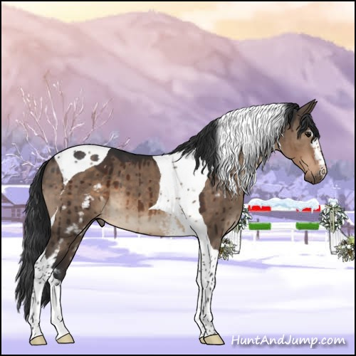 Horse Color:White Spotted Brown Dun Tobiano Brindle 