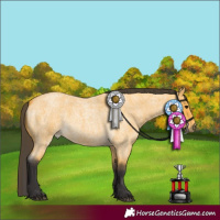 Horse Color:Buckskin Roan 