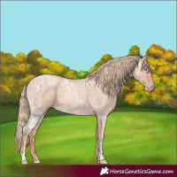 Horse Color:Gold Champagne Ice Roan 