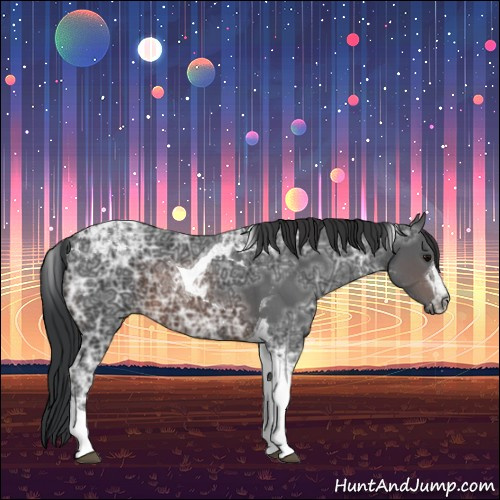 Horse Color:Brown Ice Tobiano 