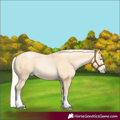 Horse Color:Silver Buckskin Pearl Dun Splash 