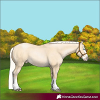 Horse Color:Silver Buckskin Pearl Dun Splash 