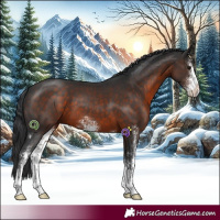 Horse Color:Brown Sabino 