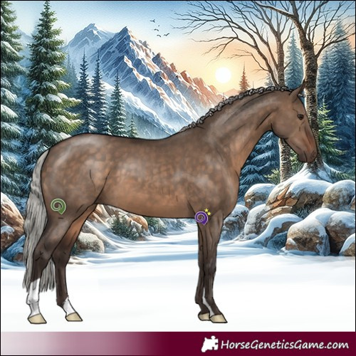 Horse Color:Silver Brown Dun