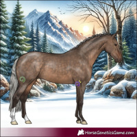Horse Color:Silver Brown Dun 