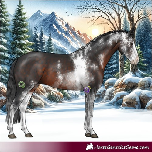 Horse Color:Brown Sabino 