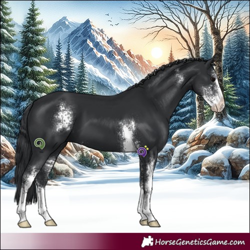 Horse Color:Black Sabino