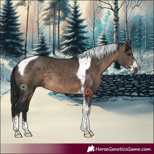 Horse Color:Brown Dun Sabino Tobiano 