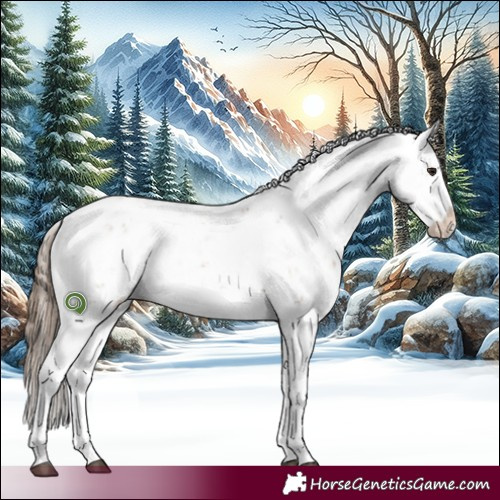 Horse Color:Black Pearl Sabino 