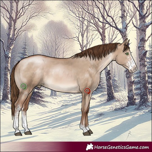 Horse Color:Brown Pearl Dun Sabino 