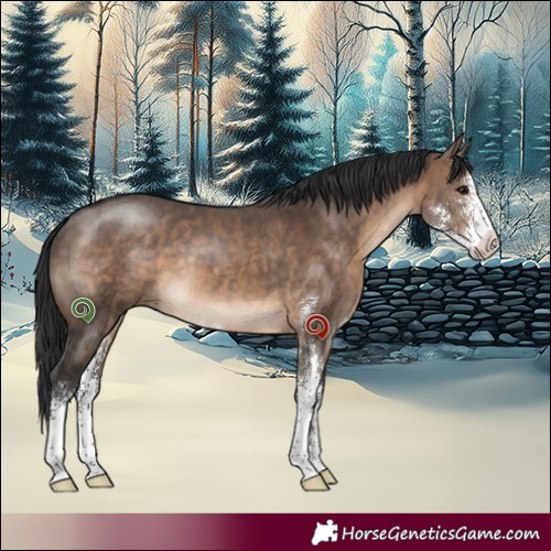 Horse Color:Brown Dun Sabino 