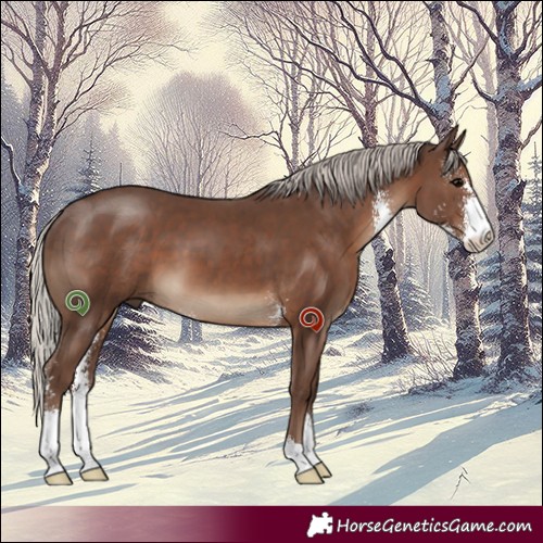 Horse Color:Silver Black Sabino 