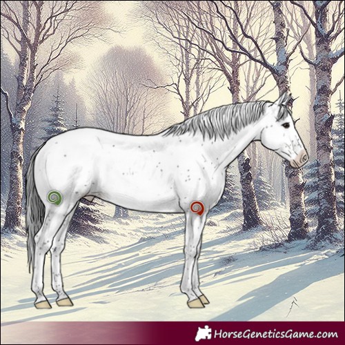 Horse Color:Brown Sabino 