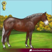 Horse Color:Silver Brown Sabino 