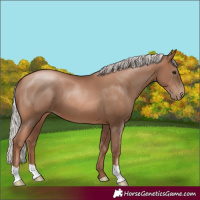 Horse Color:Silver Black Pearl 