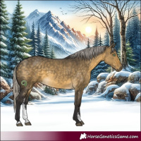 Horse Color:Silver Buckskin Dun Sabino Brindle
