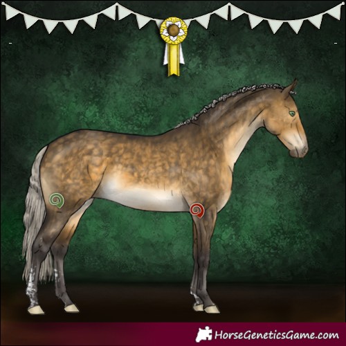 Horse Color:Silver Buckskin Dun Sabino Brindle 