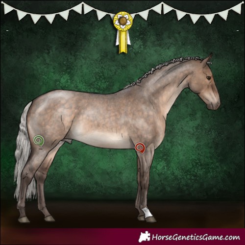 Horse Color:Silver Brown Roan Dun 