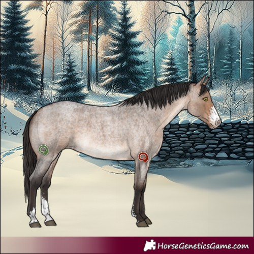 Horse Color:Bay Roan Dun Sabino Brindle 