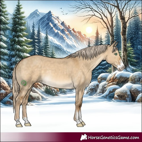 Horse Color:Chocolate Palomino Dun Sabino