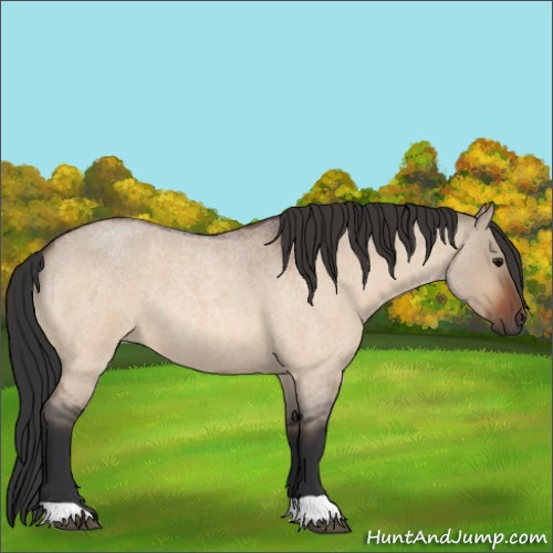 Horse Color:Bay Roan Dun 