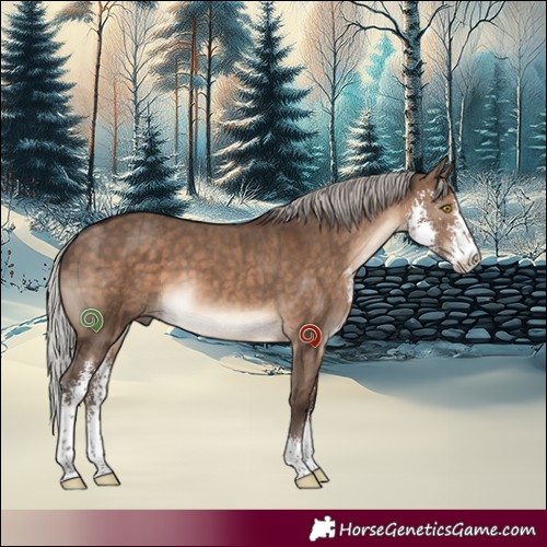 Horse Color:Silver Brown Dun Sabino Brindle 