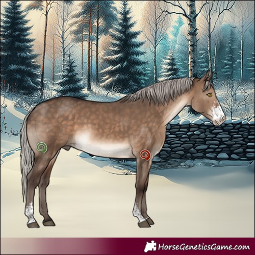 Horse Color:Silver Brown Dun Sabino 