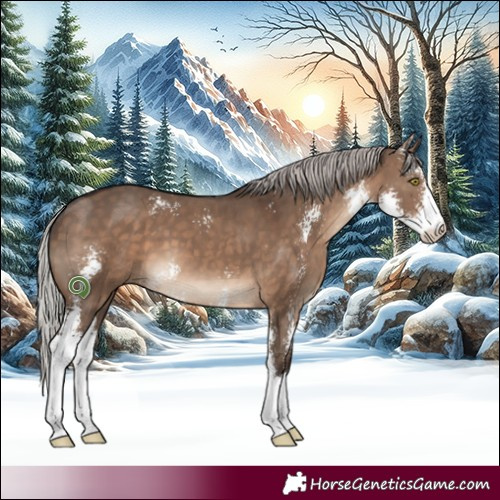 Horse Color:Silver Brown Dun Sabino 