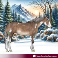 Horse Color:Silver Brown Dun Sabino 