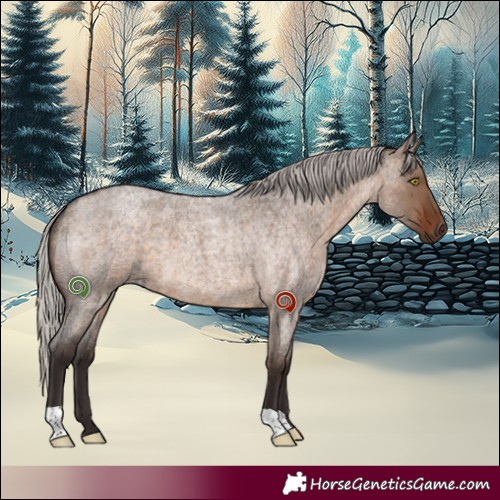 Horse Color:Silver Brown Roan Dun 