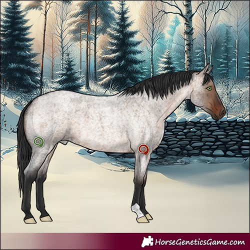 Horse Color:Brown Roan Dun 