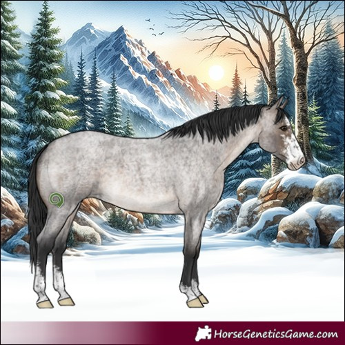 Horse Color:Brown Roan Dun Sabino Brindle