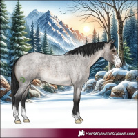 Horse Color:Brown Roan Dun Sabino Brindle 
