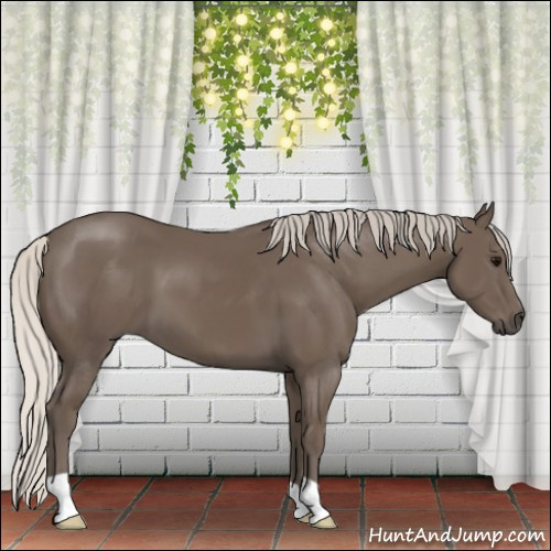 Horse Color:Silver Smoky Black