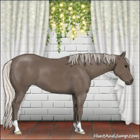 Horse Color:Silver Smoky Black 