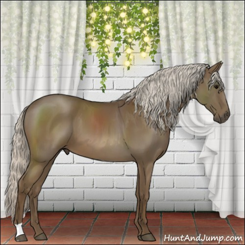 Horse Color:Silver Smoky Black 