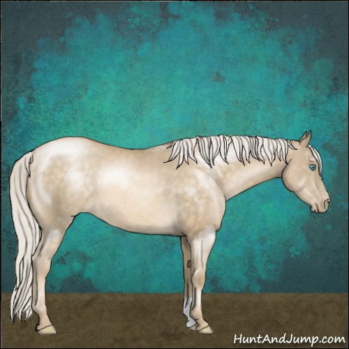 Horse Color:Silver Buckskin Pearl 