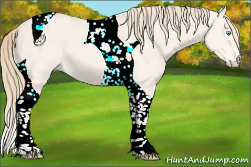 Horse Color:Perlino Dun Tobiano 