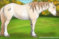 Horse Color:White Spotted Buckskin Pearl Dun