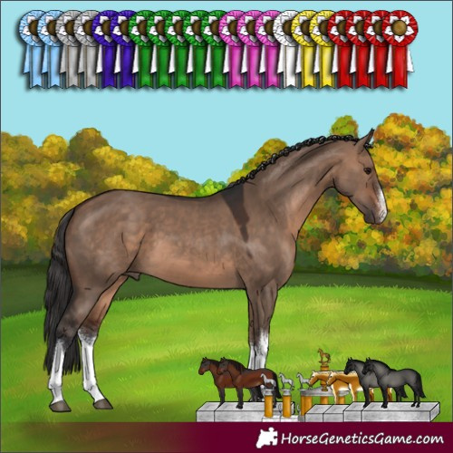 Horse Color:White Spotted Brown Dun 