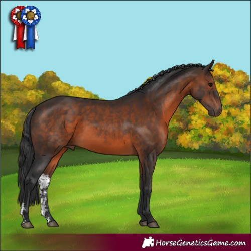 Horse Color:Brown Sabino 